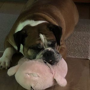 Meet your Posher, Toni